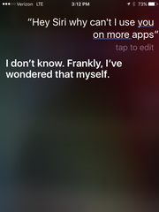 Dear Smartphone: Should Voice Command?